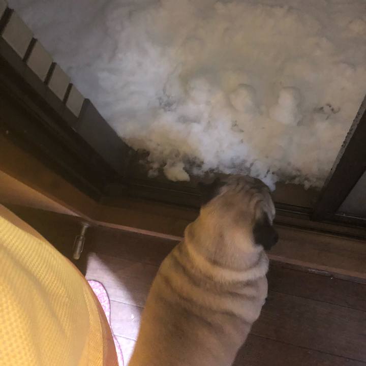 5dfbe70d 0ef4 4534 9d12 27e234ec514f 1516631789309