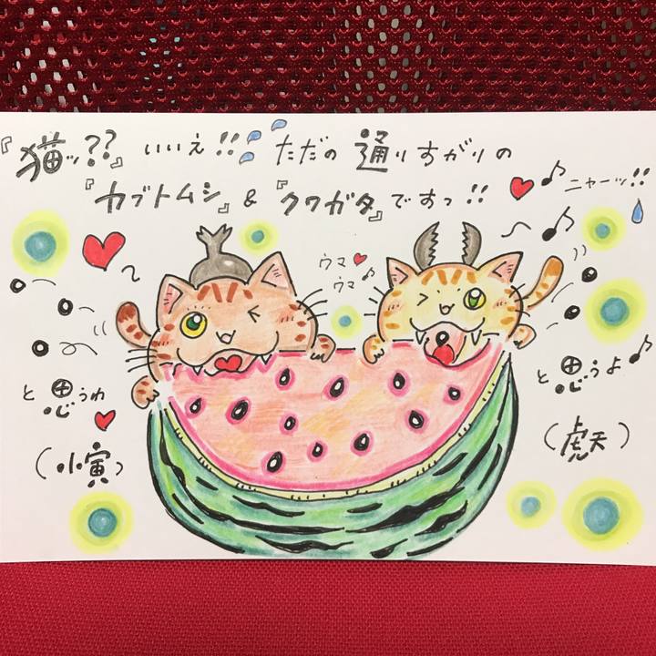 5dfbff1a 4b7d 4290 8ed1 62ffd5f1c86e 1567102247168