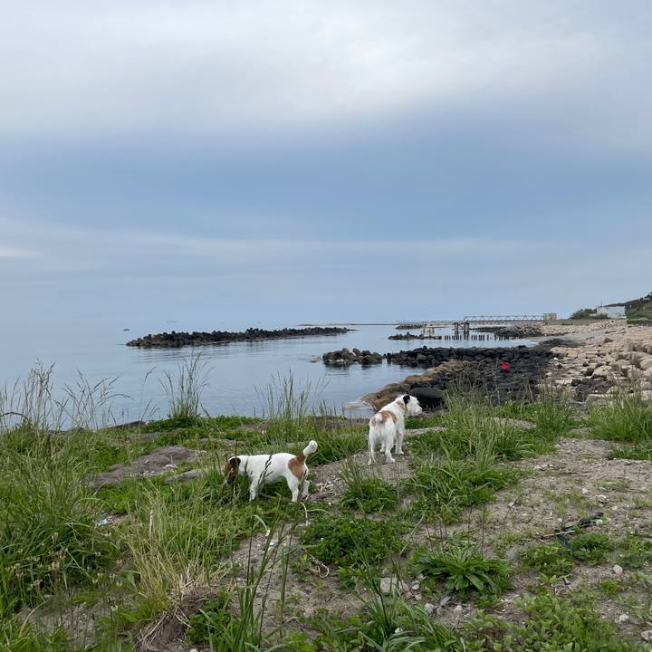 5dfc1627 b71f 4c7a b13d c7e70950b4e6 1652747466033