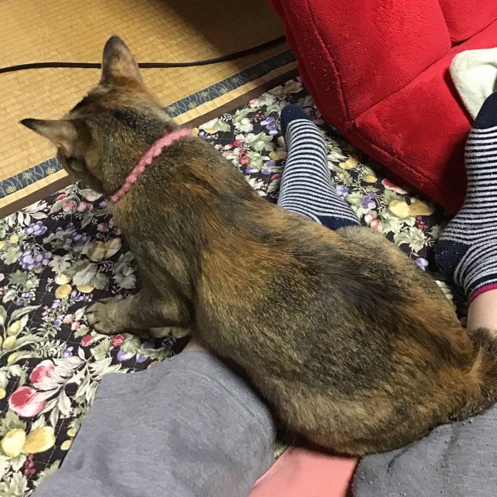 5dfc40a2 7f24 4561 b7f1 65451f387a48 1591911746733