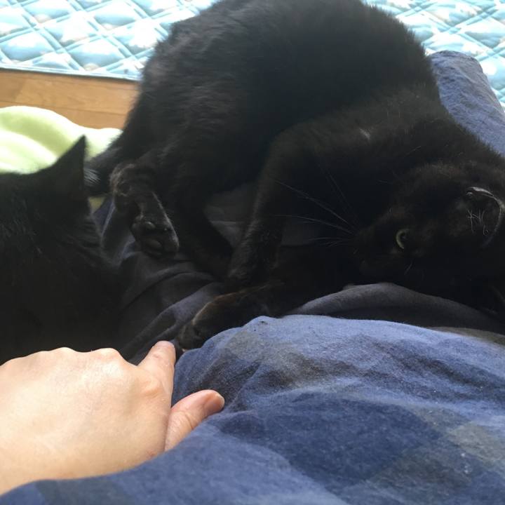 5dfc631d 5568 420b 950a 649c5b20c9d1 1533426568510