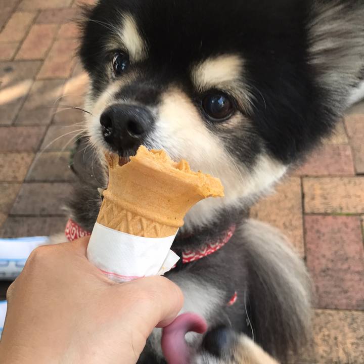 5dfc651a 46a4 4329 8db5 5f891a32ca3b 1573644066910