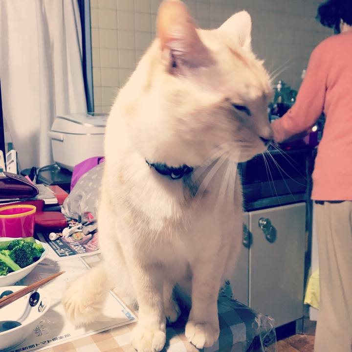 5dfc8b4d 92f7 4eba b1e8 ada88c63a385 1556723436760