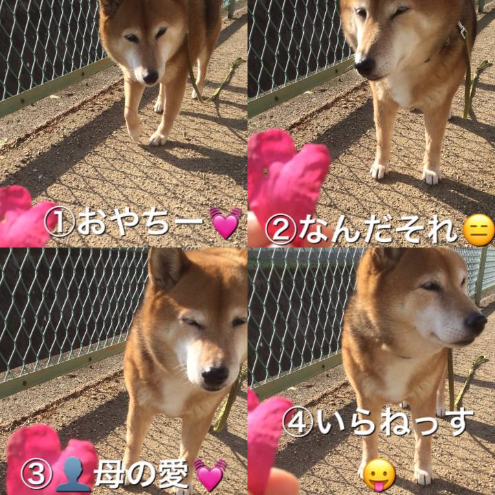 5dfc9bd2 658c 4b10 b803 39ddcaa946d0 1578966719121