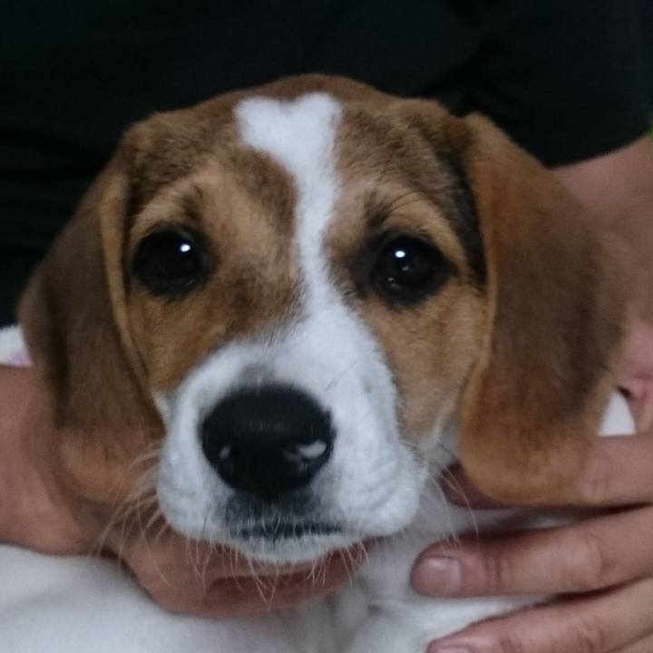 5dfca14b b034 4cd9 bd85 de0ac0e5acb9 1619235842746