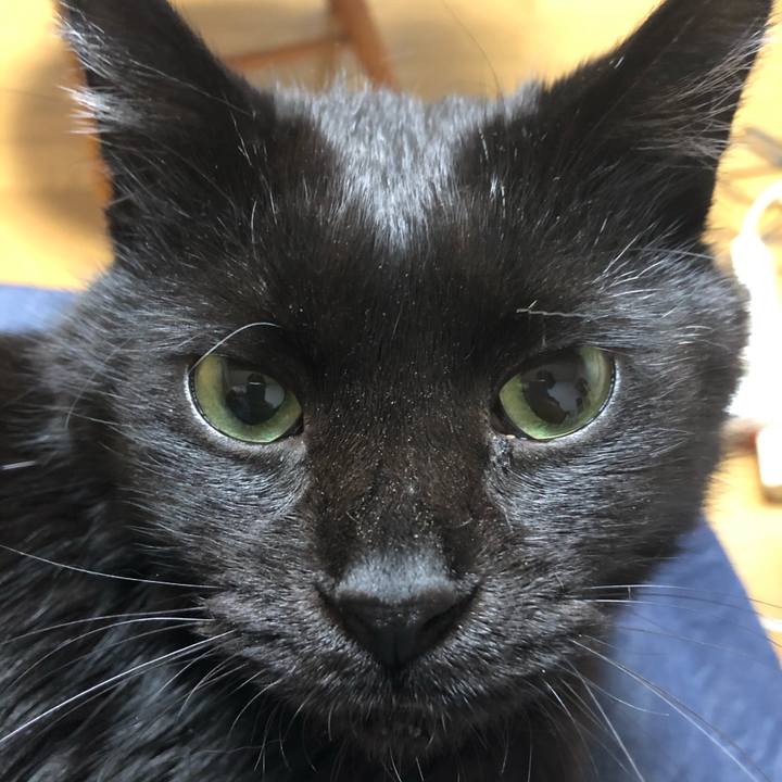 5dfcbf2d fd7b 4abc 9573 55b1c9b1ac7f 1616417668239