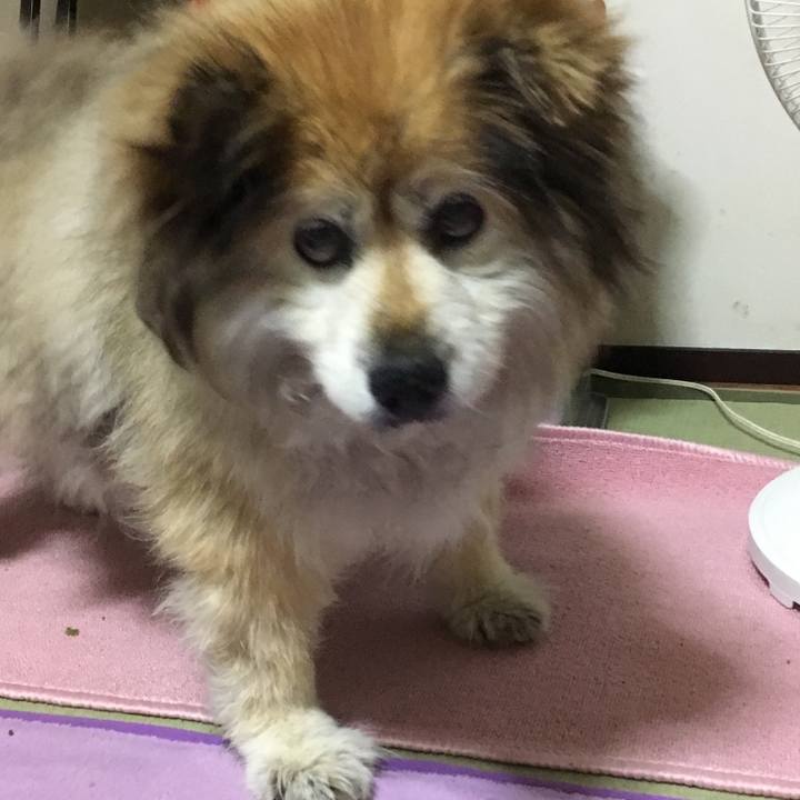 5dfccdd2 a336 4725 97b5 f60c43579e58 1591512922694