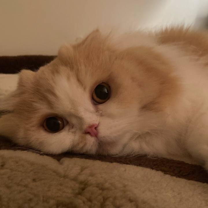 5dfcdac8 8891 466a 8c08 bf9b134910d7 1625751966409