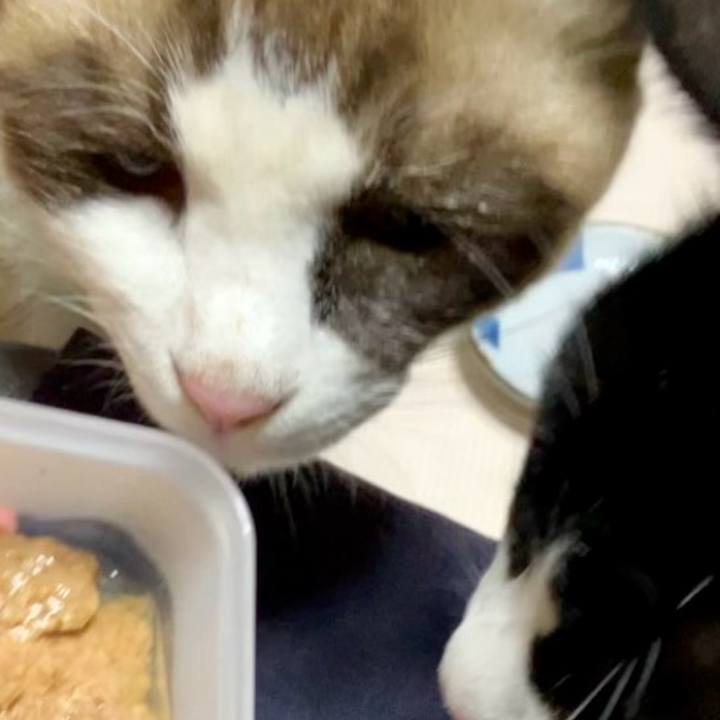 5dfcfc17 a0e6 4aa9 a69e 608a69a3821b 1731837242520