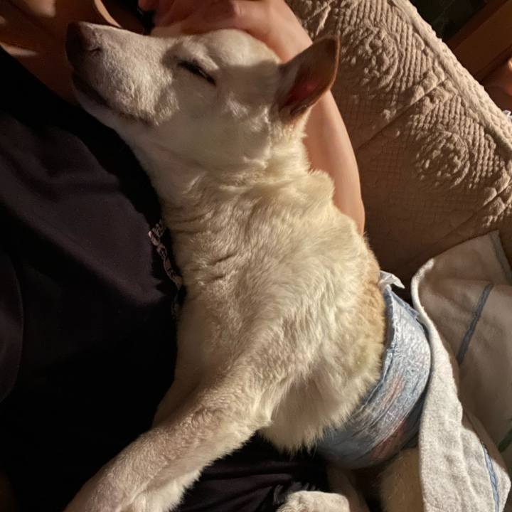 5dfd080e 32cb 4f01 9d4d 633336b17fc9 1659885323461