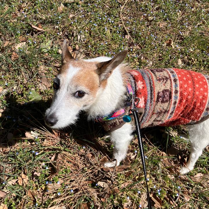 5dfd22a3 9b6a 40b9 b48a 2c437a908180 1710371926572