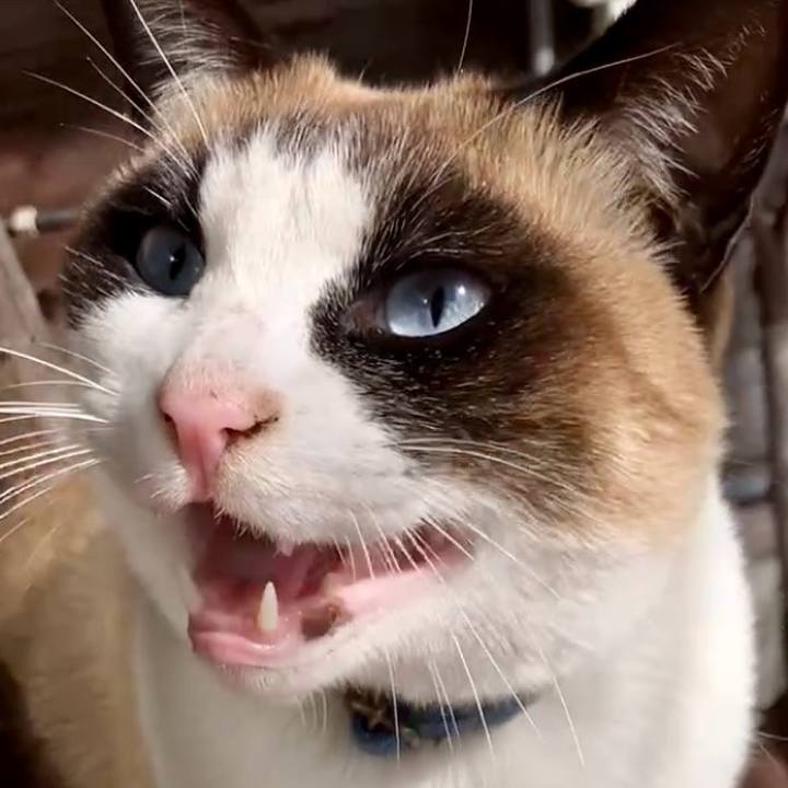 5dfd24b5 bcab 4428 9fd3 3ae96d790be3 1740129365604