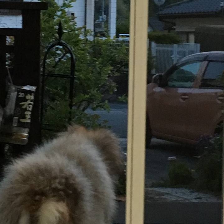 5dfd3d92 10c3 4dd3 9bc0 330a5135133b 1617515903848