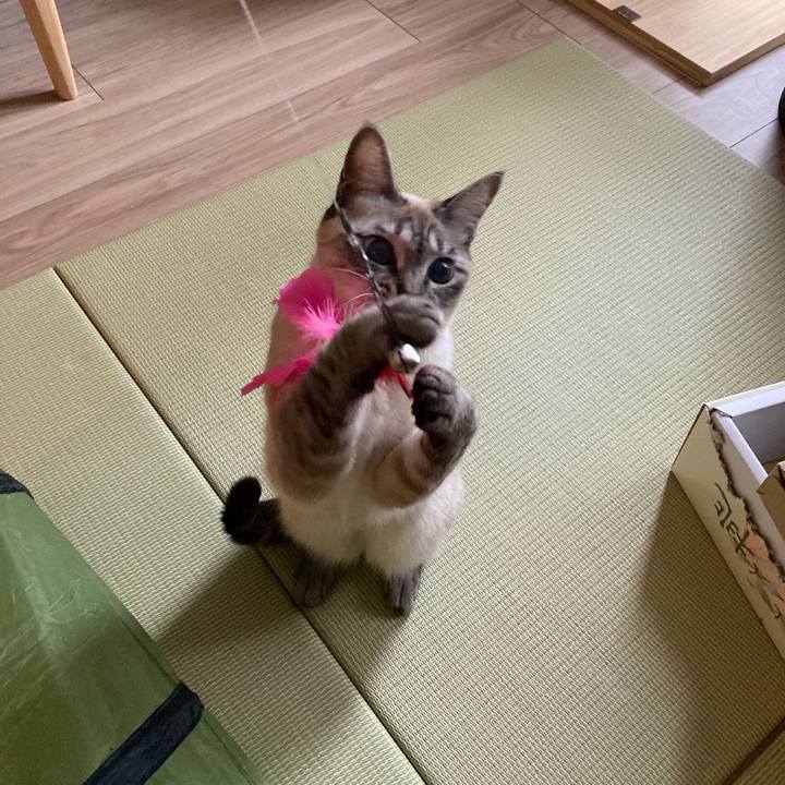 5dfd42e8 48c8 4b8c 801b b2a1e59f67a5 1607557414576