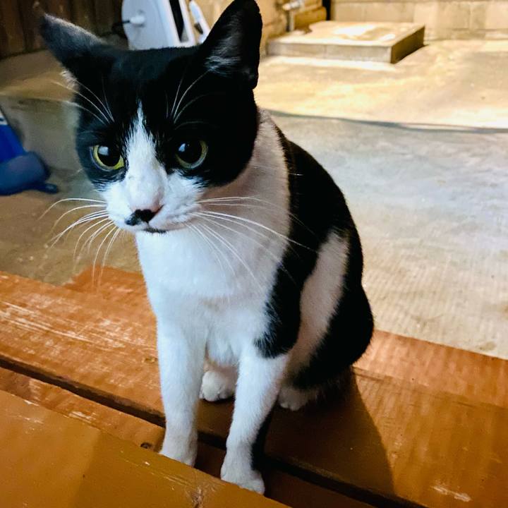 5dfd5075 2bf8 4fc3 91d9 7c7a42818b89 1667127184926