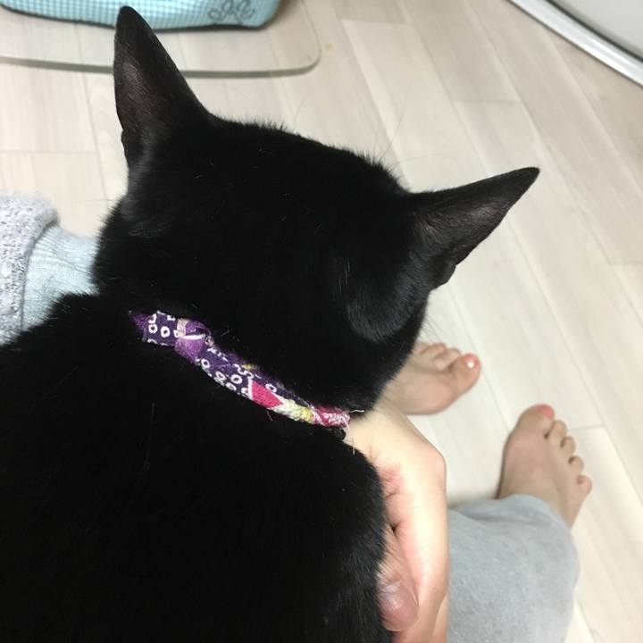 5dfdb272 2f87 4196 a5a3 58397cbca40e 1511008128699