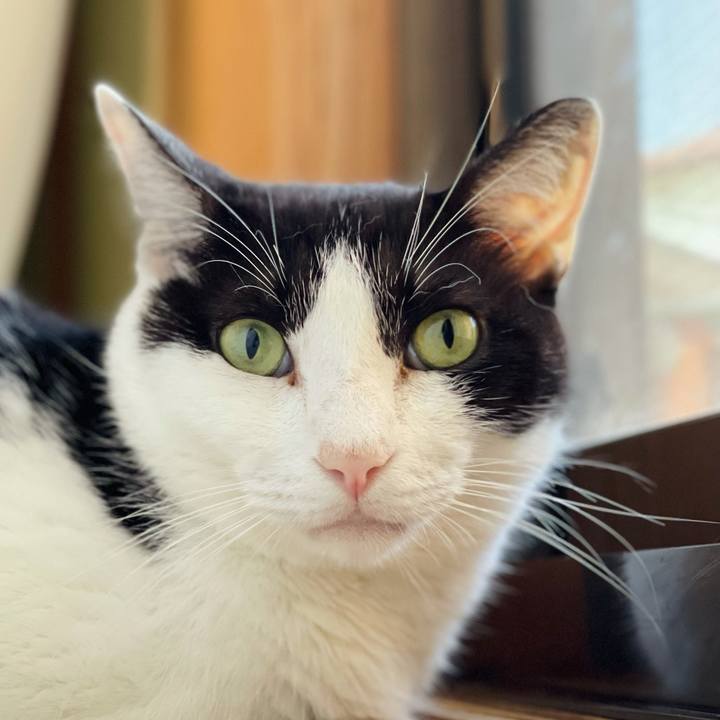 5dfdc998 d9d8 4f42 8c2b 18499d108ce9 1628563279502