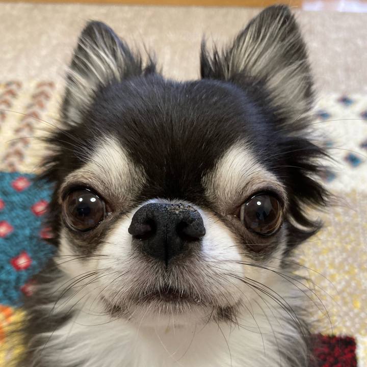 5dfe0529 8934 4f2f a69d 78c99f691207 1696632768718