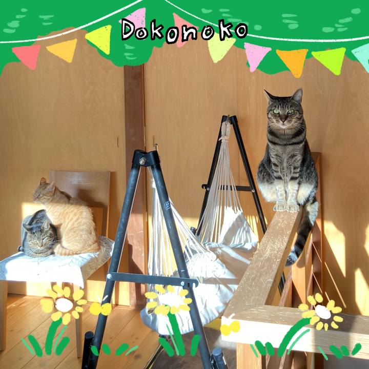 5dfe34d0 b87a 4783 badd 2f140d9415bf 1711062933221