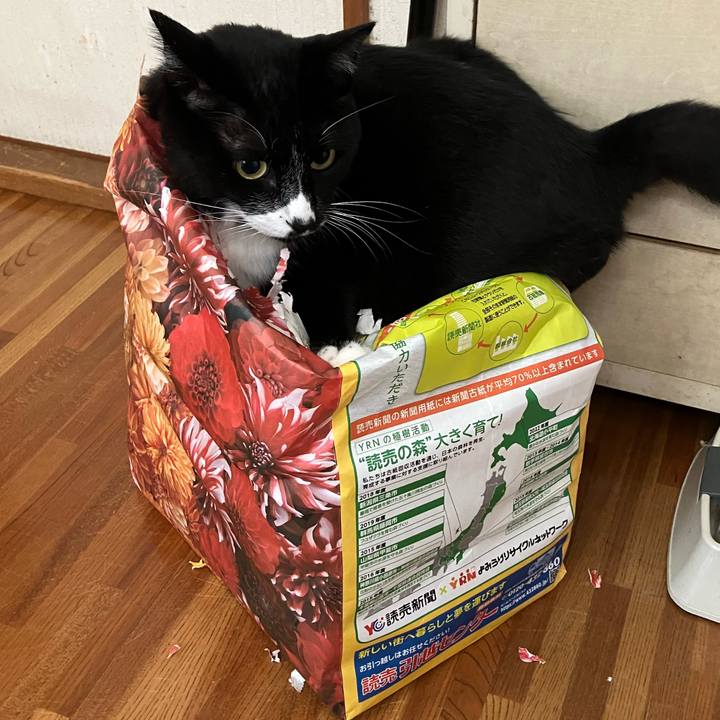 5dfe6a72 b6aa 4eb6 bcb7 ffefbc87abcc 1726803287891