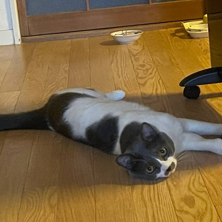 5dfe7d6a 380e 4372 bbfc e5c556f8796a 1628492570773