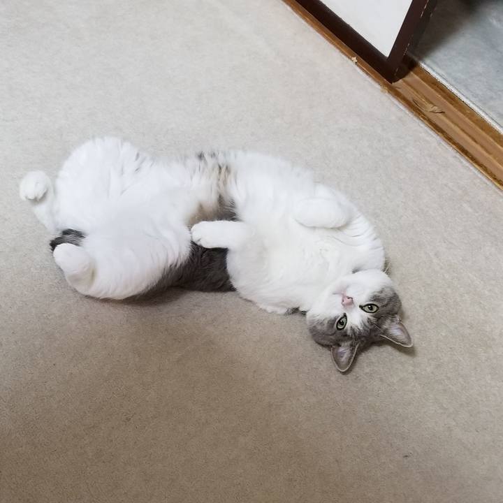 5dfe8943 86a5 4abc 9875 013b80a9ce2b 1565353496360