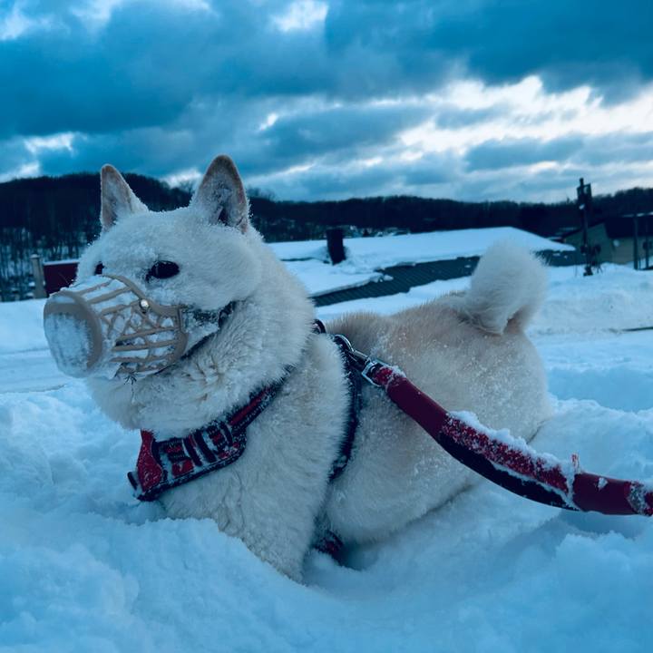 5dfeb325 b3a6 4e32 b2bb 8a2683514080 1768516952944