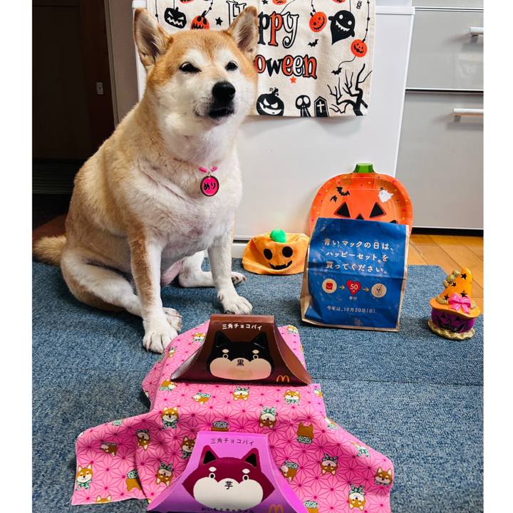 5dfec843 d647 4701 99a4 38ac9d30329a 1728454998095