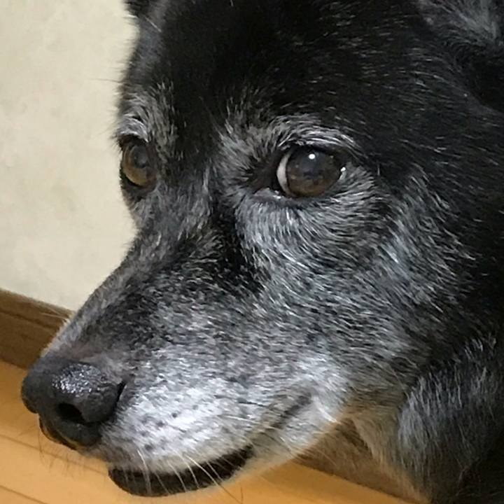 5dff06e7 3323 45aa 83a3 ca6427d244a5 1538390699908