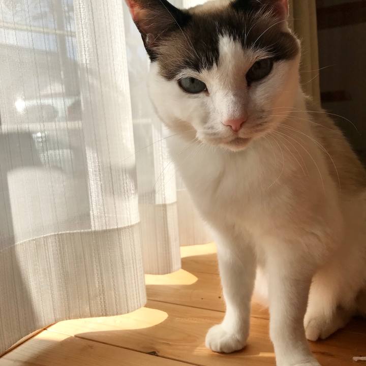 5dff7dff e14e 4e37 9598 2dcdf5fdb916 1579822219022