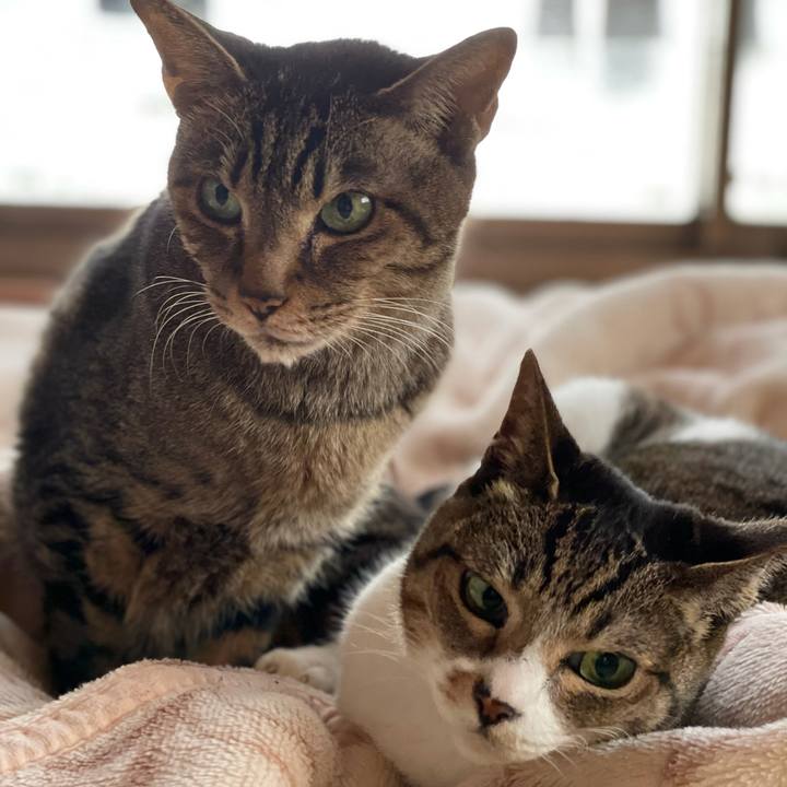 5dff8856 13ba 4e60 9037 8bc1e944e489 1610848585728