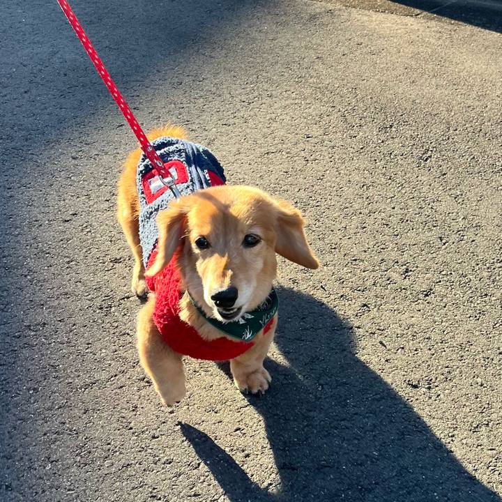 5dffade4 a344 48d6 b262 b4c78bd7c8c7 1640161084401