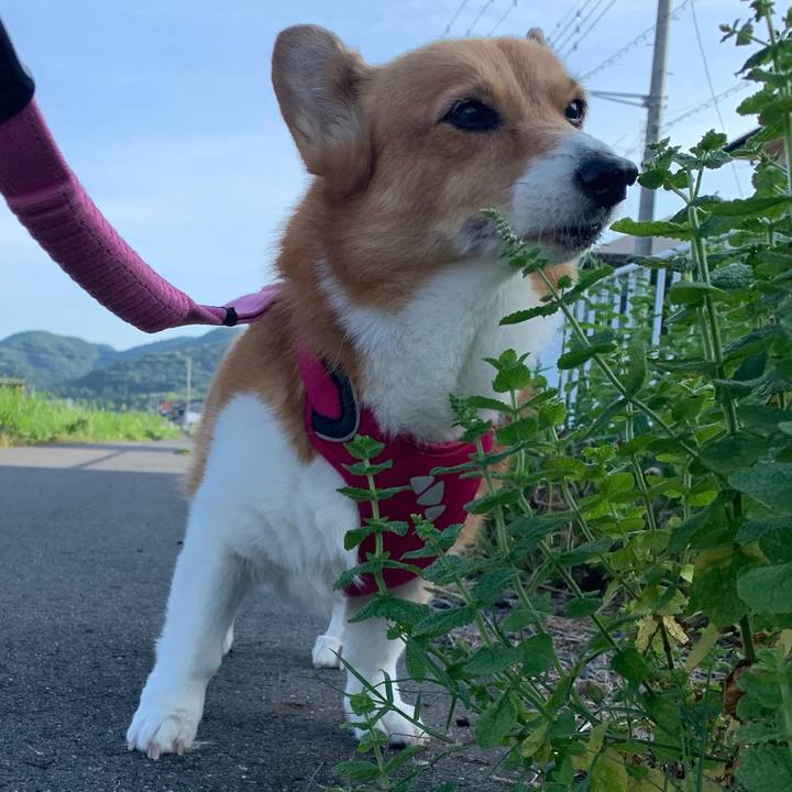 5dfff574 66f1 4d1e b7f3 c75a2475bf31 1722468754140