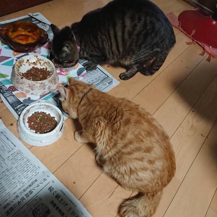 5dfffeb6 2814 4869 b8fa 73caadbc0a63 1651916184246