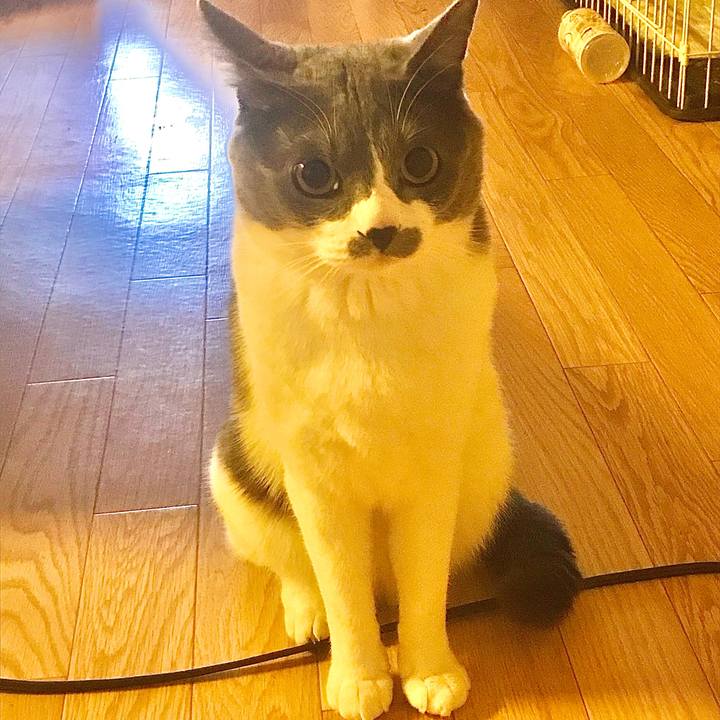 5e000c36 982c 45a3 b322 7747968e43e3 1624146931441