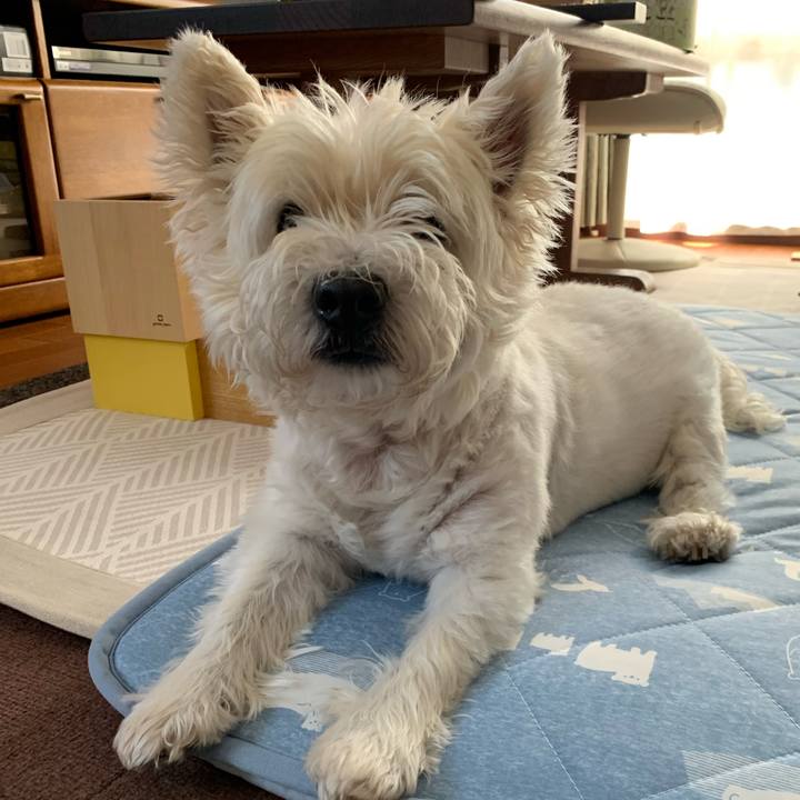 5e005b40 7c80 41d1 a7a0 b0dc81d338b5 1726006541922