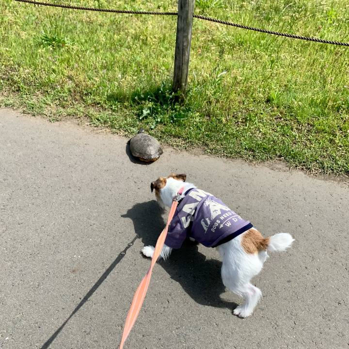 5e005e13 52c7 4e46 99eb 1cb7f58bf7ac 1620191735238