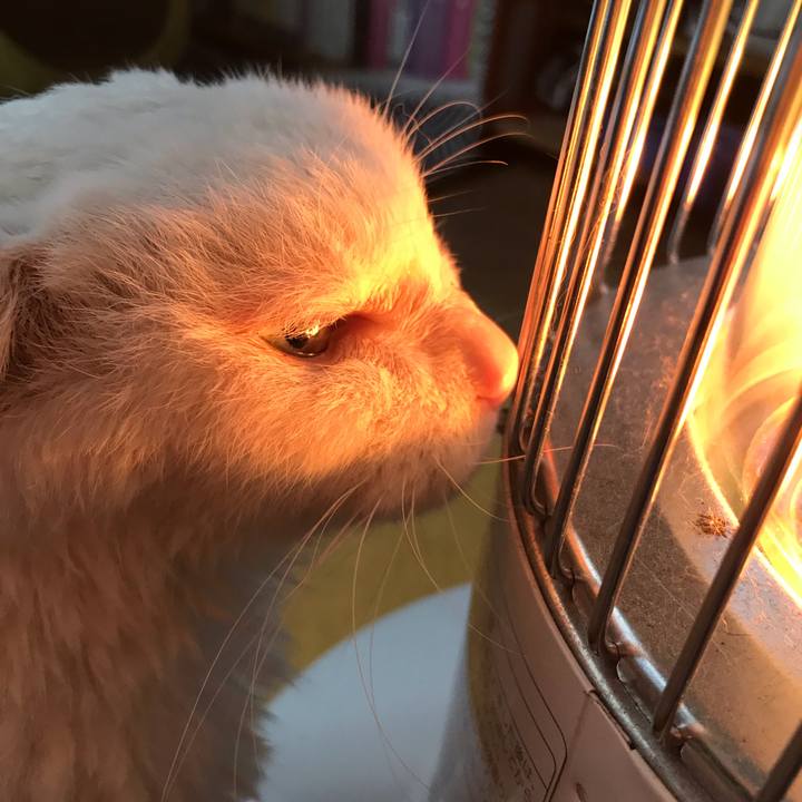 5e012bce e3d0 4879 968f 0693ed32e2b0 1544502251834