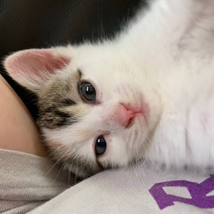 5e0138e9 5668 4054 aaa6 a16e25461a72 1590451888151