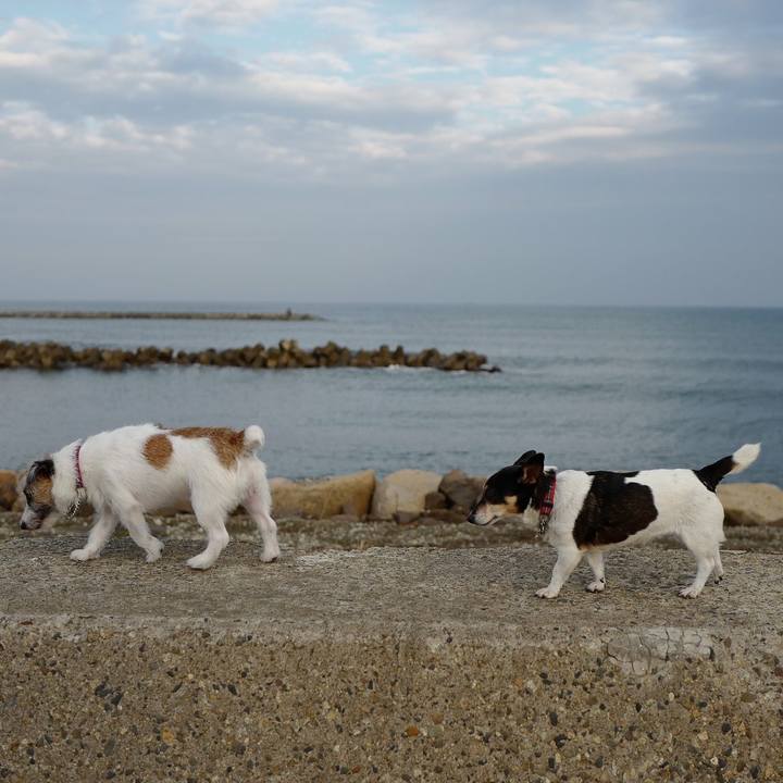 5e013da6 9e3b 461f 9102 2ac61848fa53 1541999023602