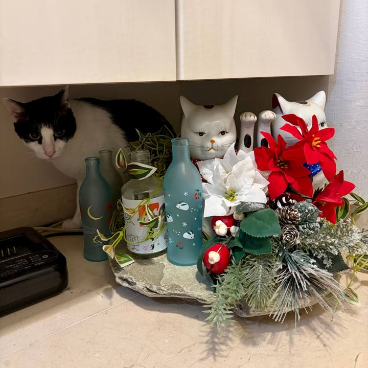 5e0160df 5f36 4c55 9161 0304697420ab 1766668183344