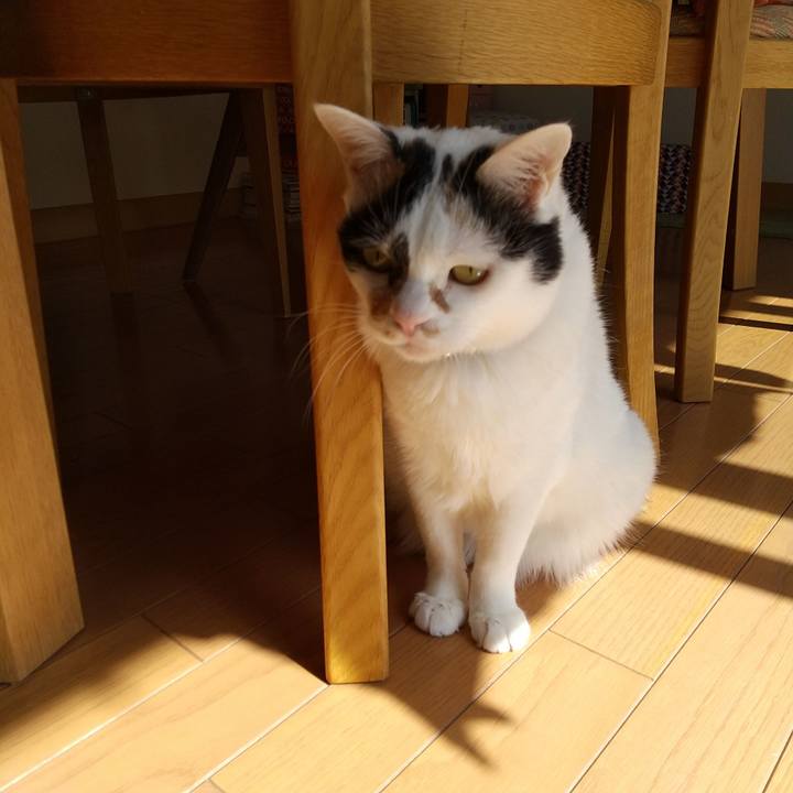 5e016ac5 0183 4261 b951 32f1d66b6a68 1583031988497