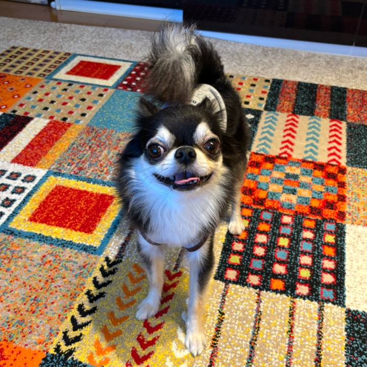 5e01847f cf7e 4fd0 8a10 fdfaef79dba7 1728923462619