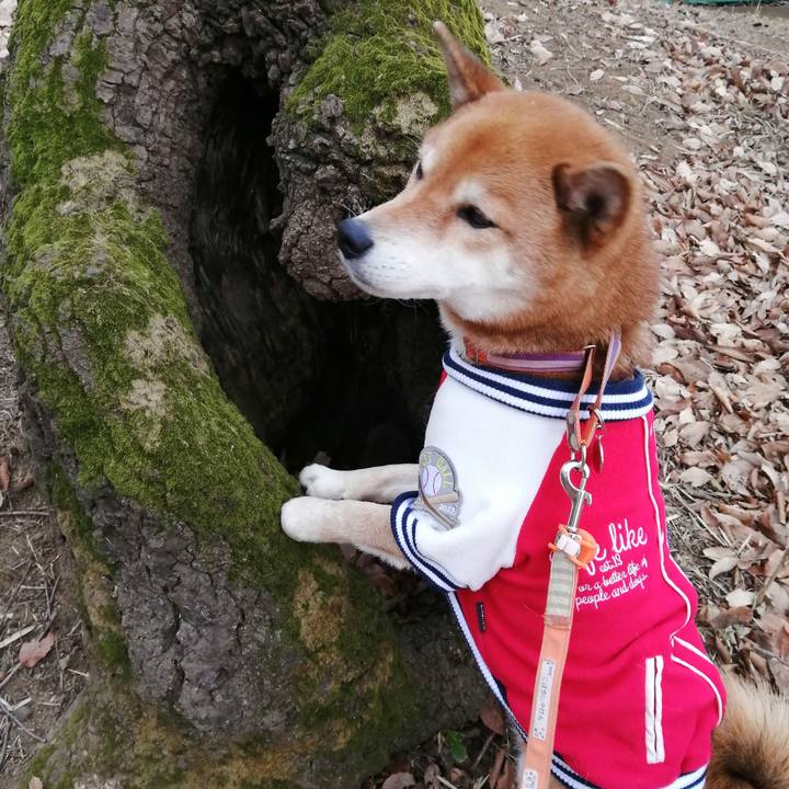 5e019c6d 8853 456c 9813 a229837dcfdd 1609917034026