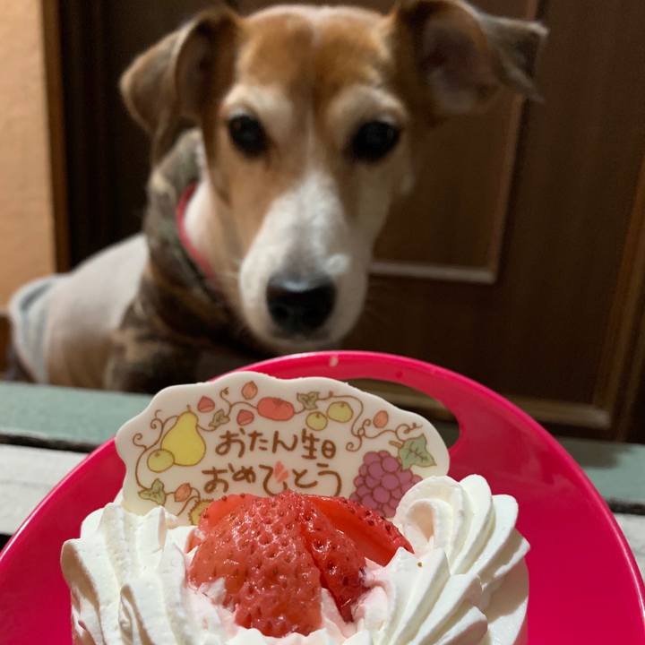 5e01b3c1 168a 4995 87c1 21301f9c84d7 1544274178666