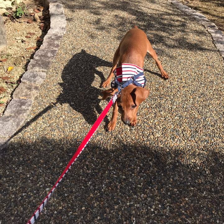 5e01c02c 82c7 41dc ae45 a11771c93403 1669519267529