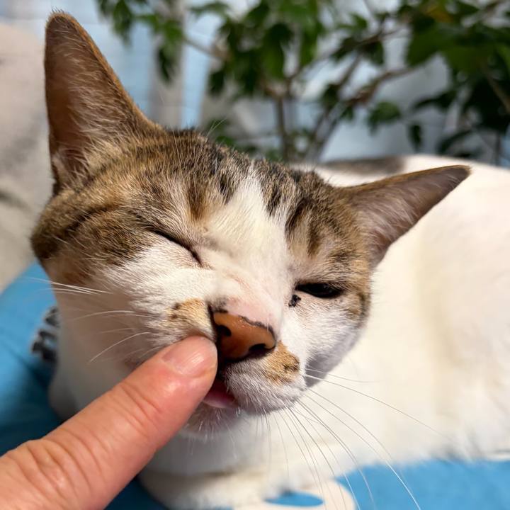 5e01c17b 13b2 43a5 b264 7bf2429aff72 1771972261284