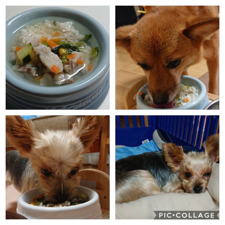 5e021157 a0e9 4a52 a21c 775e53b1d1f1 1567178200619