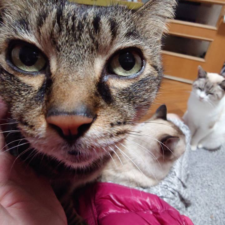 5e0234db 8505 4264 99c0 7ab7d9368492 1730118540574