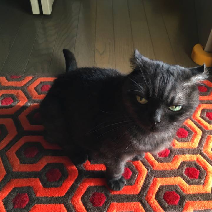 5e02982e e1a5 4704 9e53 a1fc4edb308e 1534253226111